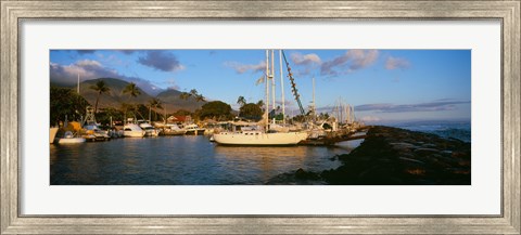 Framed Sailboats in the bay, Lahaina Harbor, Lahaina, Maui, Hawaii, USA Print