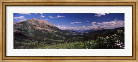 Framed Wildflowers with mountains in the background, Crested Butte, Gunnison County, Colorado, USA Print