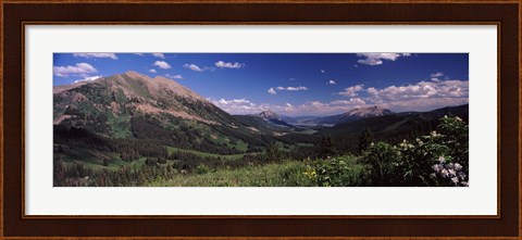 Framed Wildflowers with mountains in the background, Crested Butte, Gunnison County, Colorado, USA Print