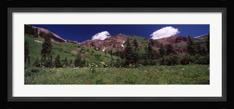 Framed Forest, Crested Butte, Gunnison County, Colorado, USA Print