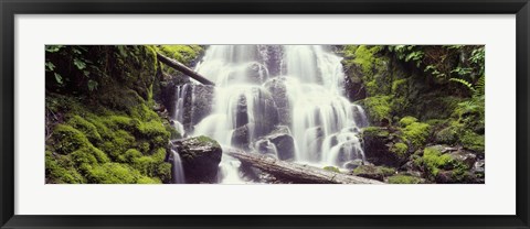 Framed Waterfall in a forest, Waheena Falls, Hood River, Oregon, USA Print
