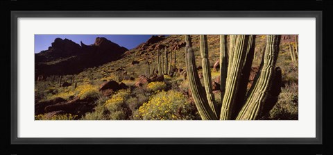 Framed Desert Landscape, Organ Pipe Cactus National Monument, Arizona, USA Print