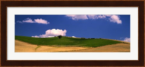 Framed Agricultural field, Ronda, Malaga Province, Andalusia, Spain Print