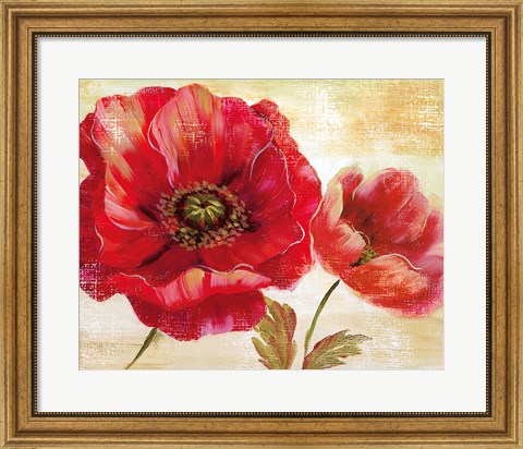 Framed Passion for Poppies I Print