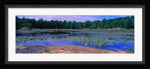 Framed Pond in a national park, Bubble Pond, Acadia National Park, Mount Desert Island, Hancock County, Maine, USA Print
