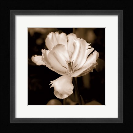 Framed Veronica's Garden II Print