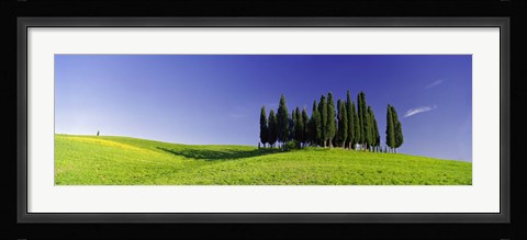 Framed Trees on a landscape, Val D'Orcia, Siena Province, Tuscany, Italy Print