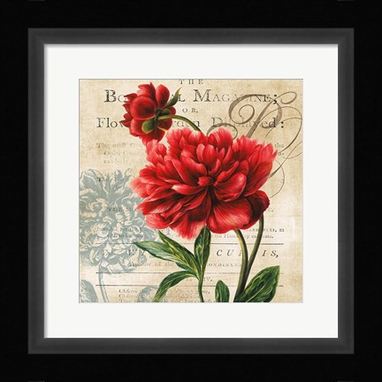 Framed Botanist Magazine Print