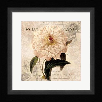 Framed White Peony I Print