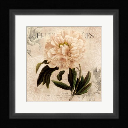Framed White Peony II Print
