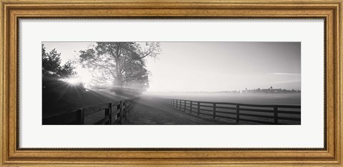 Framed Ranch at dawn, Woodford County, Kentucky, USA Print