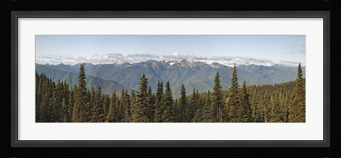 Framed Mountain range, Olympic Mountains, Hurricane Ridge, Olympic National Park, Washington State, USA Print