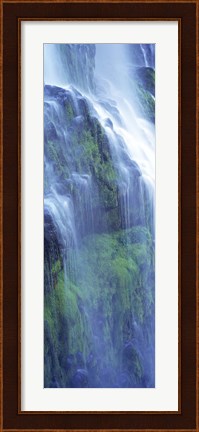 Framed Waterfall in a forest, Proxy Falls, Three Sisters Wilderness Area, Willamette National Forest, Lane County, Oregon Print