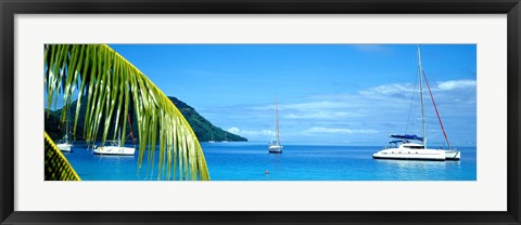 Framed Sailboats in the ocean, Tahiti, Society Islands, French Polynesia (horizontal) Print