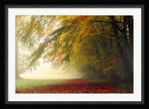 Framed Your Beauty Silences Me Print