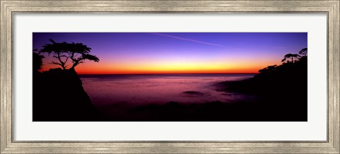 Framed Silhouette of Lone Cypress Tree on a cliff, 17-Mile Drive, Pebble Beach, Carmel, Monterey County, California, USA Print