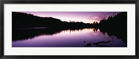Framed Reflection of trees in a lake, Mt Rainier National Park, Washington State Print