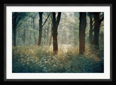 Framed Foret de Tenom Print