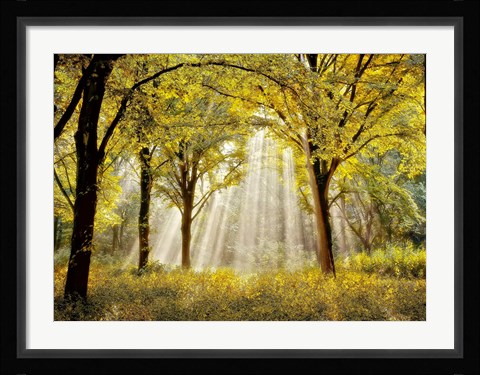 Framed Dressed to Shine X Print