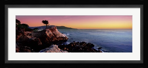 Framed Silhouette of Lone Cypress Tree at a coast, 17-Mile Drive, Carmel, Monterey County, California, USA Print