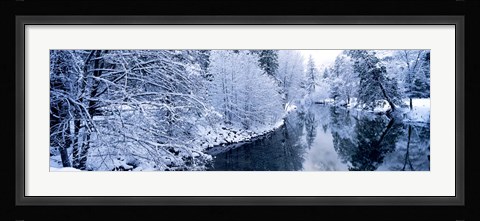 Framed Snow covered trees along a river, Yosemite National Park, California, USA Print