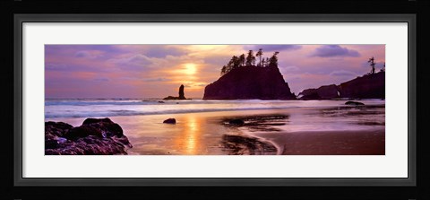 Framed Sunset at Second Beach, Olympic National Park, Washington State Print