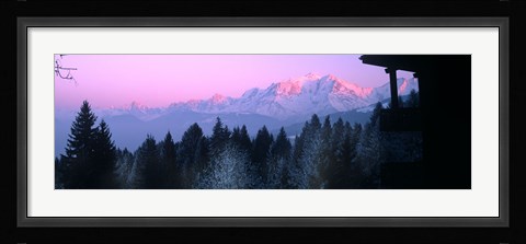 Framed Trees with snow covered mountains at sunset in winter, Combloux, Mont Blanc Massif, Haute-Savoie, Rhone-Alpes, France Print