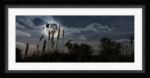 Framed Stork with a baby flying over moon Print