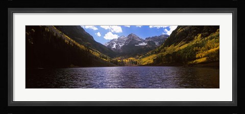 Framed Trees in a forest, Snowmass Wilderness Area, Maroon Bells, Colorado, USA Print