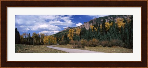 Framed Road passing through a forest, Jackson Guard Station, Ridgway, Colorado, USA Print