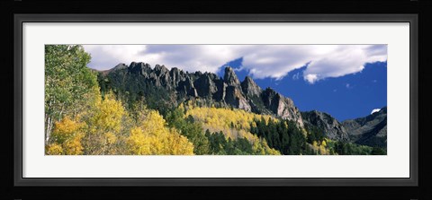 Framed Forest on a mountain, Jackson Guard Station, Ridgway, Colorado, USA Print