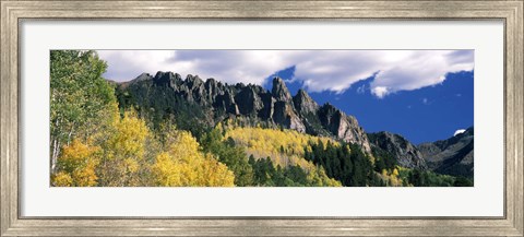 Framed Forest on a mountain, Jackson Guard Station, Ridgway, Colorado, USA Print