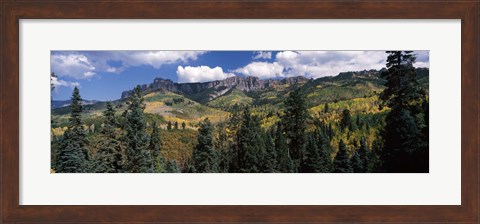 Framed Trees on mountains, Ridgway, Colorado, USA Print