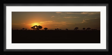 Framed Sunset over the savannah plains, Kruger National Park, South Africa Print