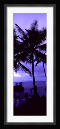 Framed Palm trees on the coast, Colombia (purple) Print