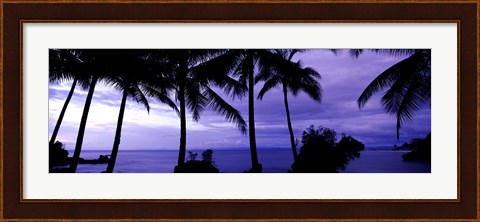 Framed Palm trees on the coast, Colombia (purple horizontal) Print