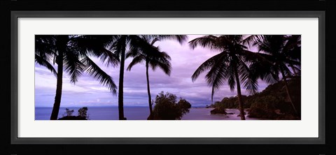 Framed Palm trees on the coast, Colombia (purple sky with clouds) Print