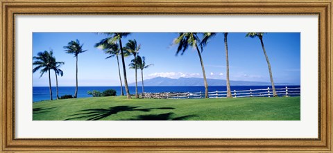 Framed Palm trees at the coast, Ritz Carlton Hotel, Kapalua, Molokai, Maui, Hawaii, USA Print