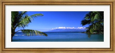 Framed Palm trees on the beach, Kapalua Beach, Molokai, Maui, Hawaii, USA Print