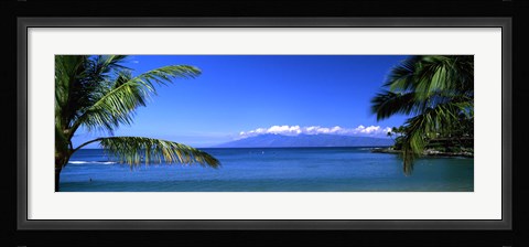Framed Palm trees on the beach, Kapalua Beach, Molokai, Maui, Hawaii, USA Print