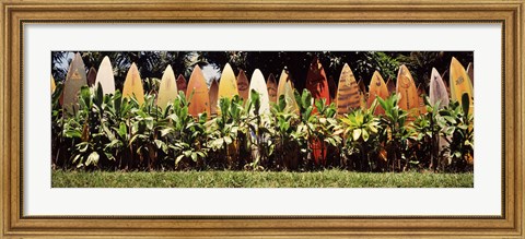 Framed Surfboard fence in a garden, Maui, Hawaii, USA Print