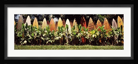 Framed Surfboard fence in a garden, Maui, Hawaii, USA Print
