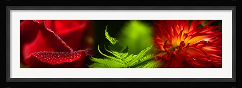 Framed Leaves and red flowers Print