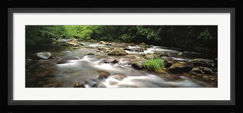 Framed River flowing through a forest, Little Pigeon River, Great Smoky Mountains National Park, Tennessee, USA Print