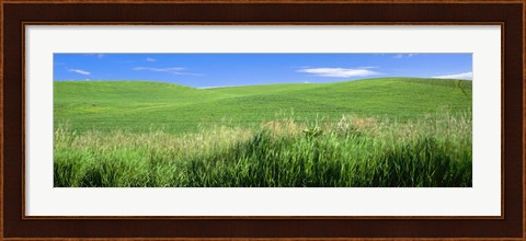Framed Rolling green hill, Palouse, Whitman County, Washington State, USA Print