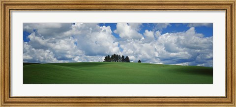Framed Trees on the top of a hill, Palouse, Whitman County, Washington State, USA Print