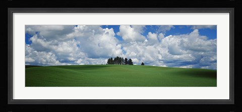 Framed Trees on the top of a hill, Palouse, Whitman County, Washington State, USA Print