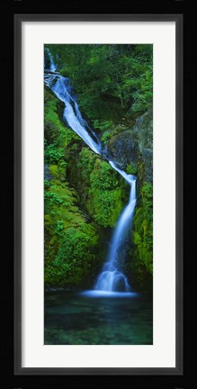 Framed Waterfall in a forest, Sullivan Falls, Opal Creek Wilderness, Oregon, USA Print