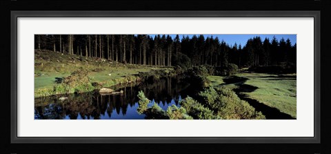 Framed River flowing through a forest, East Dart River, Dartmoor, Devon, England Print