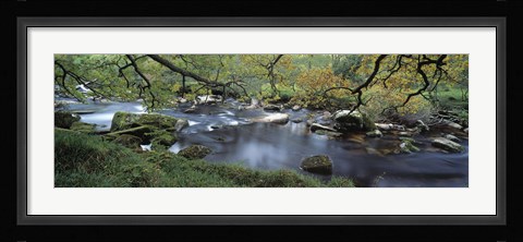 Framed River flowing through a forest, West Dart River, Dartmeet, Devon, England Print